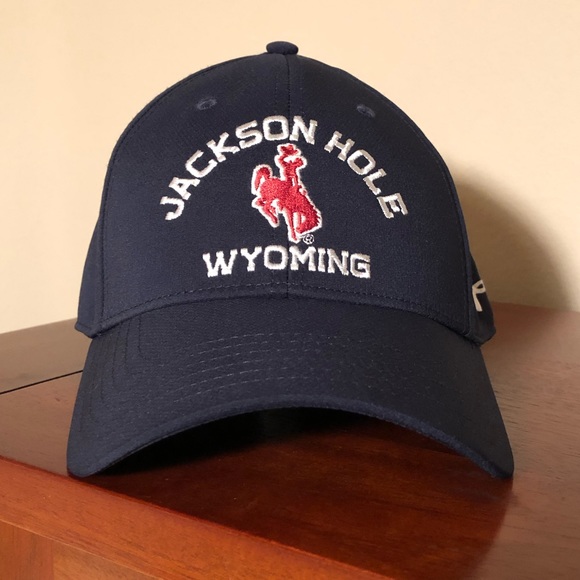 jackson hole patagonia hat